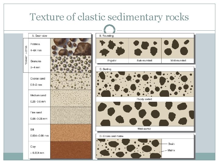 Texture of clastic sedimentary rocks 