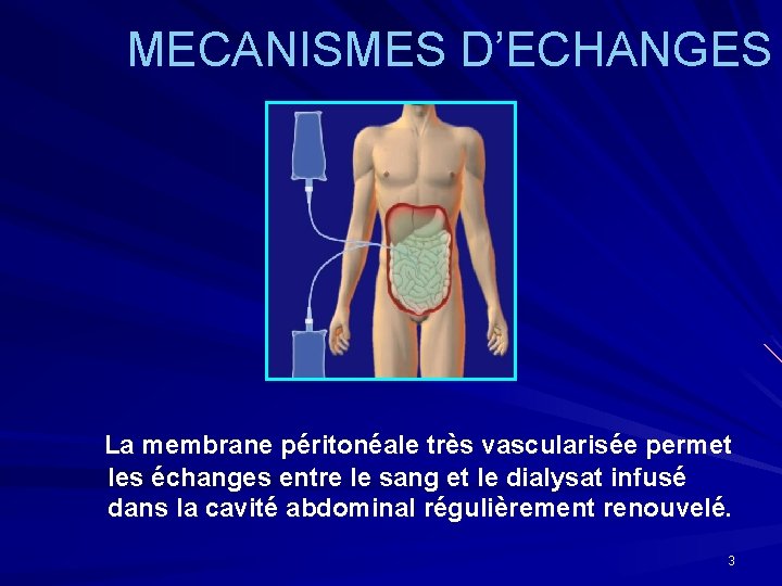 MECANISMES D’ECHANGES La membrane péritonéale très vascularisée permet les échanges entre le sang et