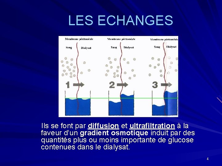 LES ECHANGES Ils se font par diffusion et ultrafiltration à la faveur d’un gradient