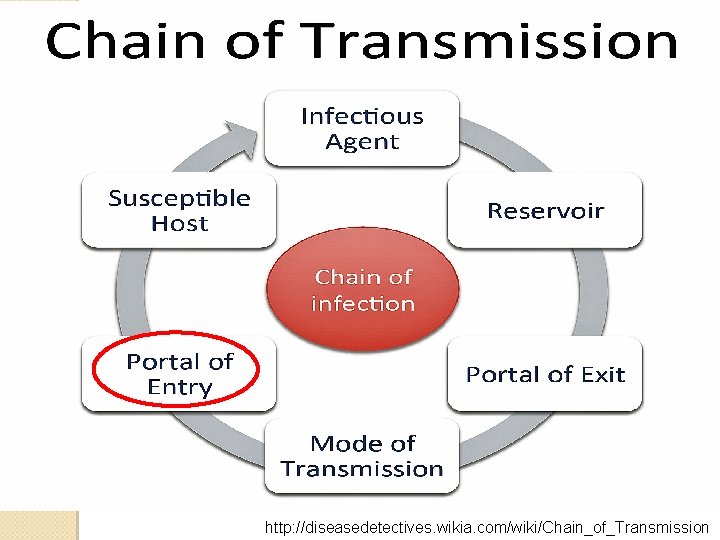 http: //diseasedetectives. wikia. com/wiki/Chain_of_Transmission 