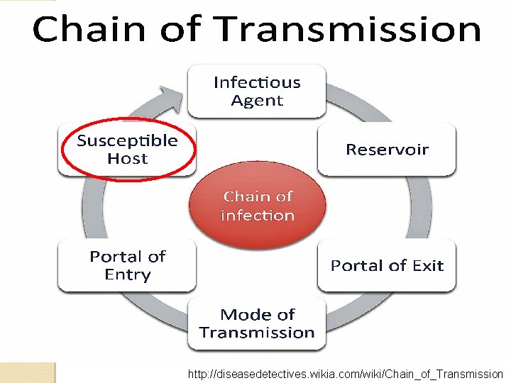 http: //diseasedetectives. wikia. com/wiki/Chain_of_Transmission 