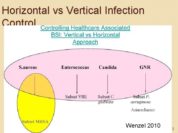 Horizontal vs Vertical Infection Control Wenzel 2010 21 