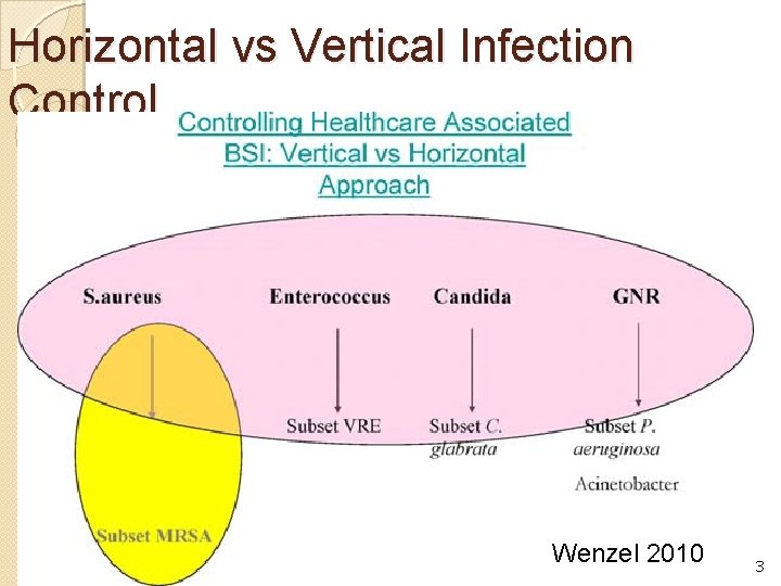 Horizontal vs Vertical Infection Control Wenzel 2010 23 