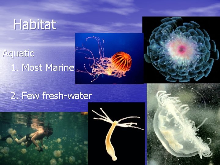 Habitat Aquatic 1. Most Marine 2. Few fresh-water 