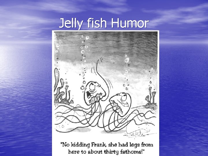 Jelly fish Humor 