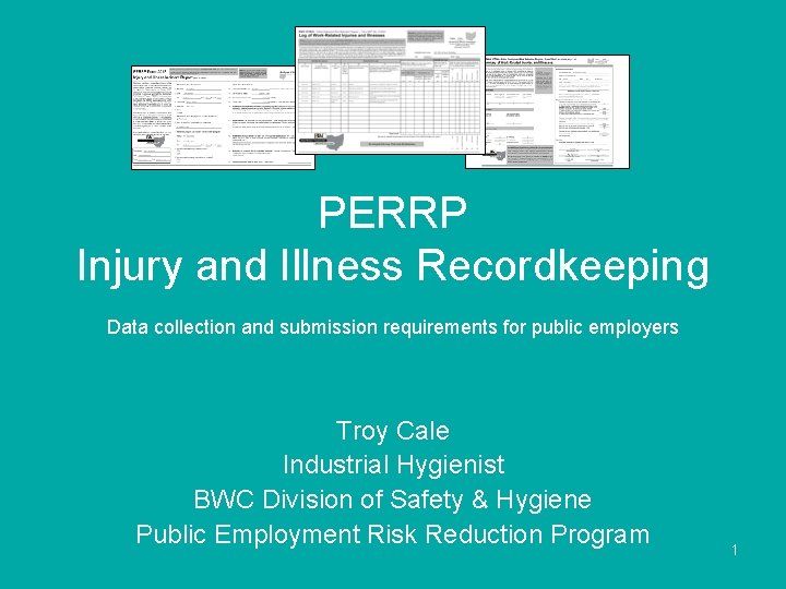 PERRP Injury and Illness Recordkeeping Data collection and submission requirements for public employers Troy