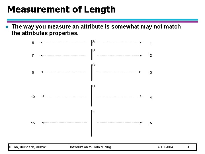 Measurement of Length l The way you measure an attribute is somewhat may not