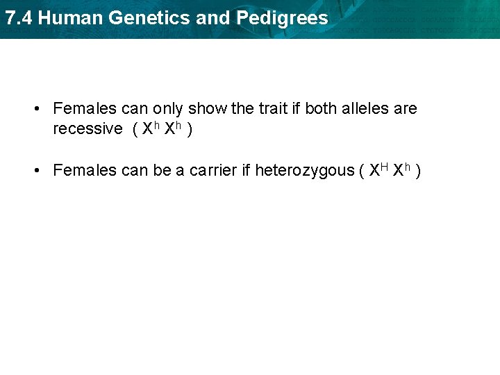 7. 4 Human Genetics and Pedigrees • Females can only show the trait if 7. 4 Human Genetics and Pedigrees • Females can only show the trait if