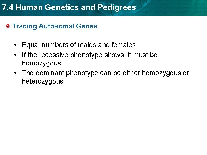7. 4 Human Genetics and Pedigrees Tracing Autosomal Genes • Equal numbers of males 7. 4 Human Genetics and Pedigrees Tracing Autosomal Genes • Equal numbers of males
