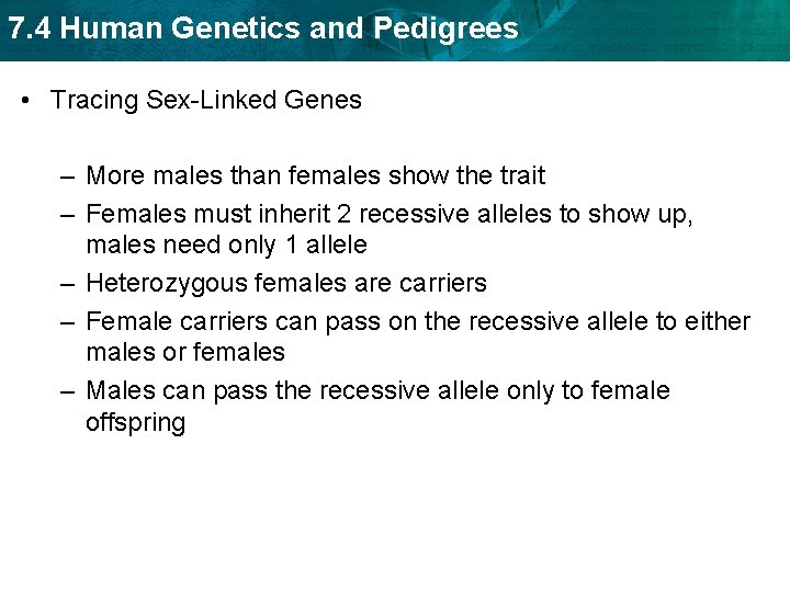 7. 4 Human Genetics and Pedigrees • Tracing Sex-Linked Genes – More males than 7. 4 Human Genetics and Pedigrees • Tracing Sex-Linked Genes – More males than