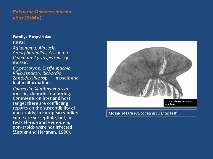 Potyvirus-Dasheen mosaic virus (Ds. MV) Family: Potyviridae Hosts: Aglaonema, Alocasia, Amorphophallus, Arisaema, Caladium, Cyrtosperma