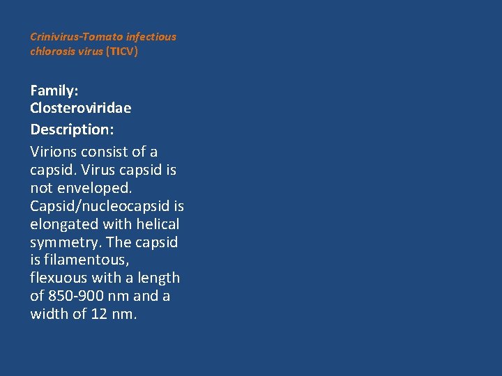 Crinivirus-Tomato infectious chlorosis virus (TICV) Family: Closteroviridae Description: Virions consist of a capsid. Virus