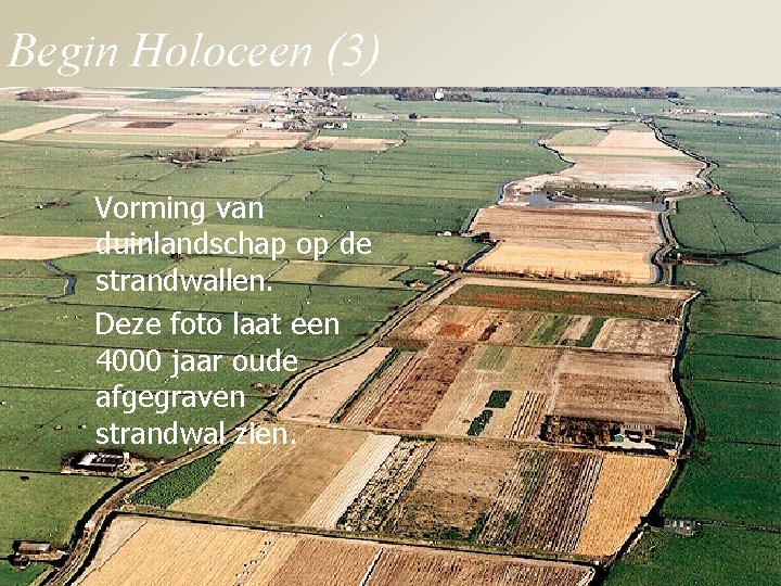 Begin Holoceen (3) Vorming van duinlandschap op de strandwallen. Deze foto laat een 4000
