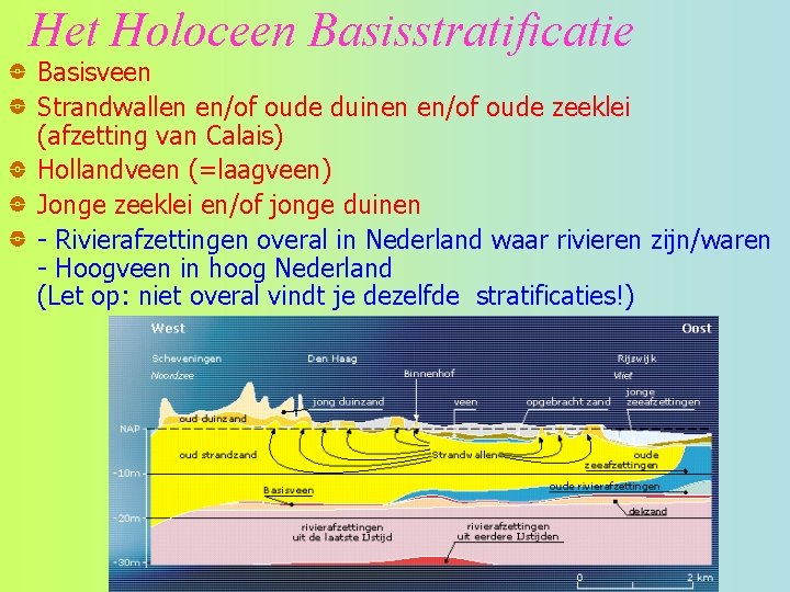 Het Holoceen Basisstratificatie Basisveen Strandwallen en/of oude duinen en/of oude zeeklei (afzetting van Calais)