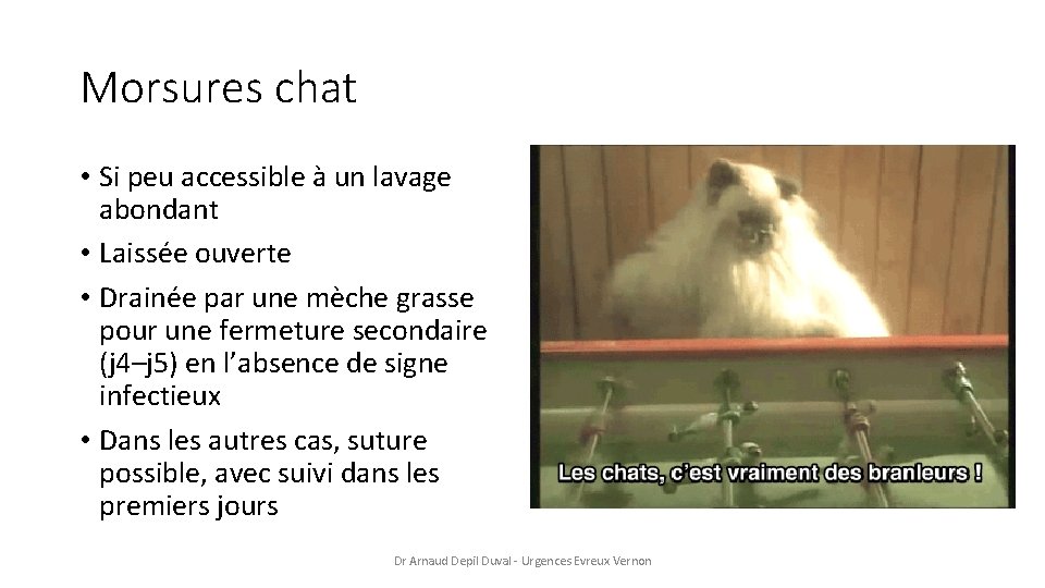 Morsures chat • Si peu accessible à un lavage abondant • Laissée ouverte •