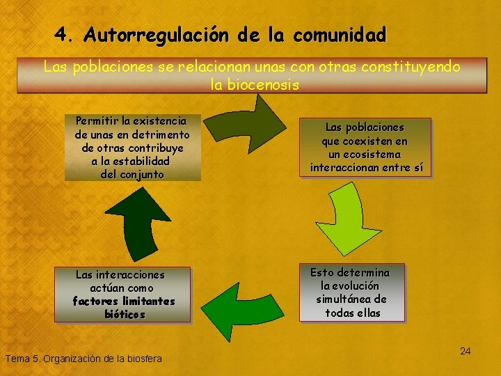 4. Autorregulación de la comunidad Las poblaciones se relacionan unas con otras constituyendo la