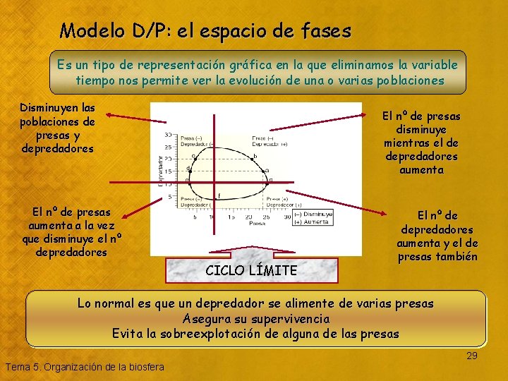 Modelo D/P: el espacio de fases Es un tipo de representación gráfica en la