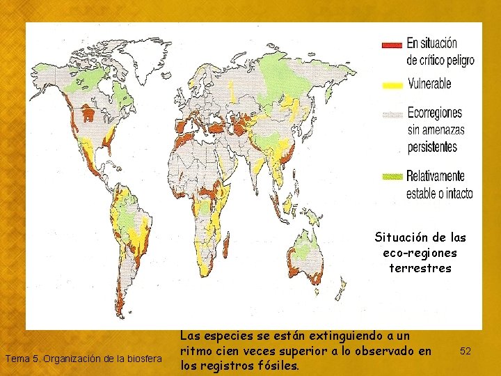 Situación de las eco-regiones terrestres Tema 5. Organización de la biosfera Las especies se