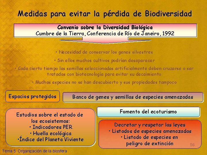 Medidas para evitar la pérdida de Biodiversidad Convenio sobre la Diversidad Biológica Cumbre de