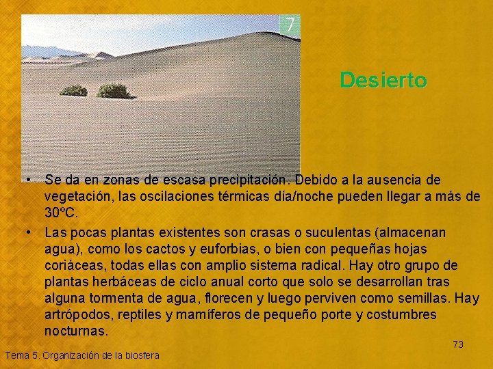 Desierto • Se da en zonas de escasa precipitación. Debido a la ausencia de