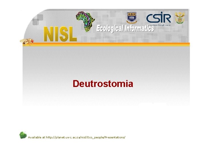 Deutrostomia Available at http: //planet. uwc. ac. za/nisl/Eco_people/Presentations/ 
