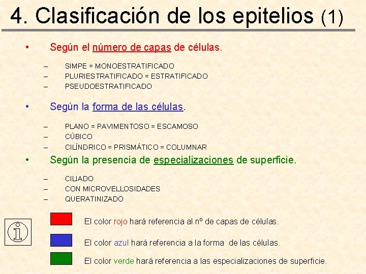 4. Clasificación de los epitelios (1) • Según el número de capas de células.