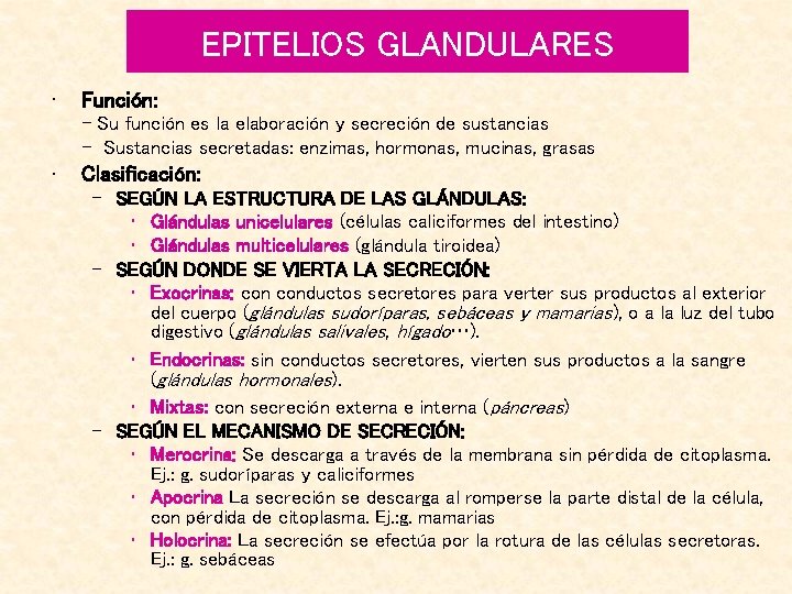 EPITELIOS GLANDULARES • Función: - Su función es la elaboración y secreción de sustancias