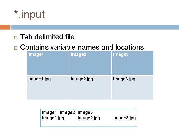 *. input Tab delimited file Contains variable names and locations Image 1 Image 2