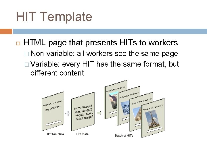 HIT Template HTML page that presents HITs to workers � Non-variable: all workers see