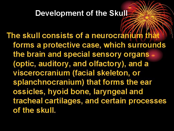 Development of the Skull The skull consists of a neurocranium that forms a protective