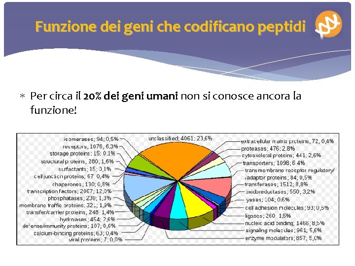 Funzione dei geni che codificano peptidi Per circa il 20% dei geni umani non