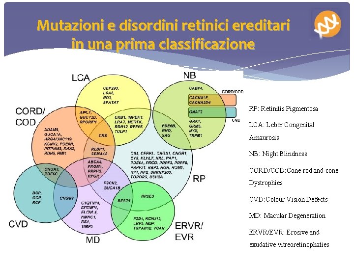 Mutazioni e disordini retinici ereditari in una prima classificazione RP: Retinitis Pigmentosa LCA: Leber