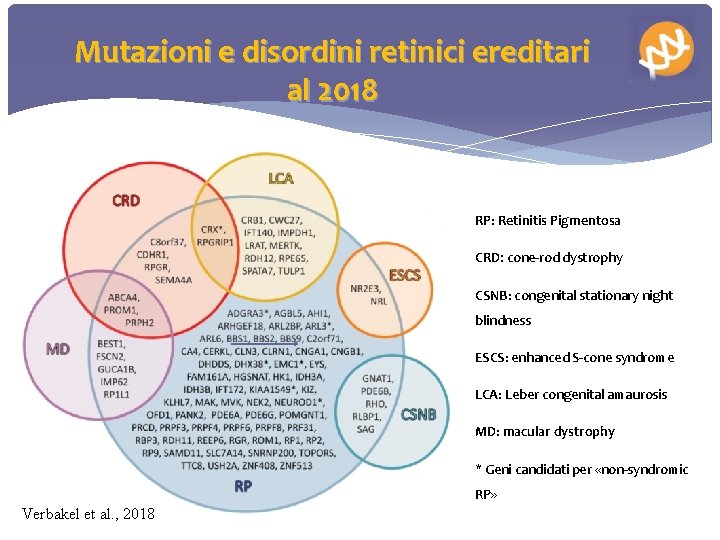 Mutazioni e disordini retinici ereditari al 2018 RP: Retinitis Pigmentosa CRD: cone-rod dystrophy CSNB: