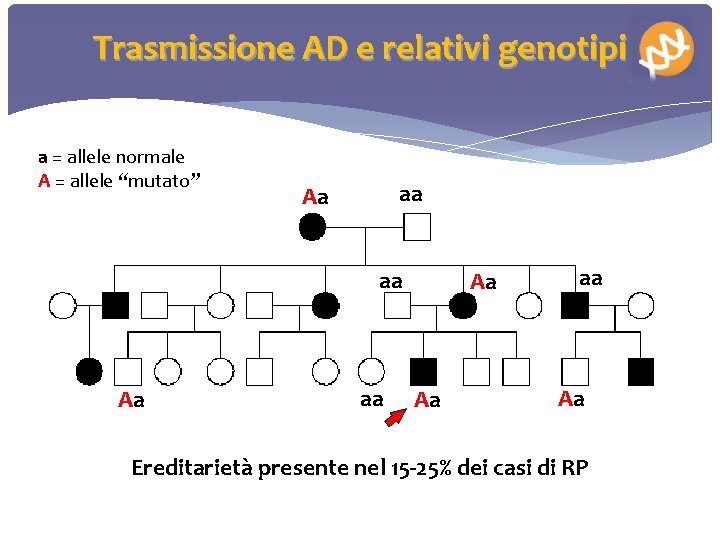 Trasmissione AD e relativi genotipi a = allele normale A = allele “mutato” aa