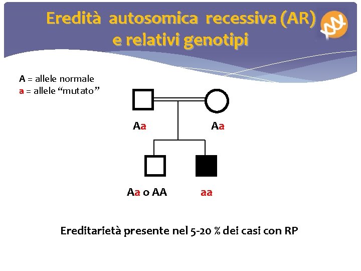 Eredità autosomica recessiva (AR) e relativi genotipi A = allele normale a = allele
