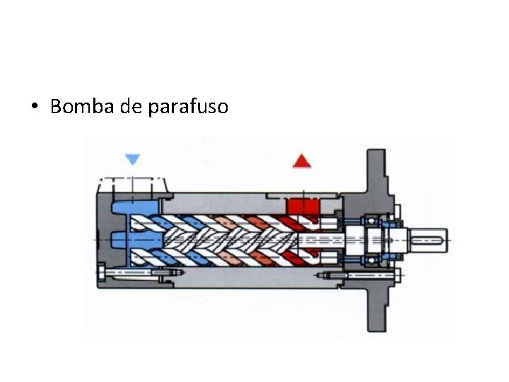  • Bomba de parafuso 