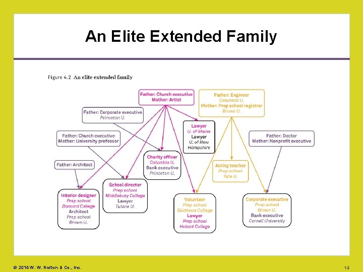 An Elite Extended Family © 2014 W. W. Norton & Co. , Inc. 14