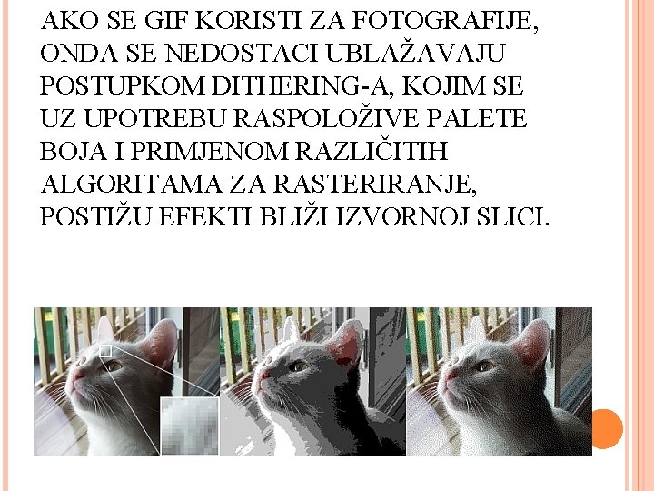 AKO SE GIF KORISTI ZA FOTOGRAFIJE, ONDA SE NEDOSTACI UBLAŽAVAJU POSTUPKOM DITHERING-A, KOJIM SE