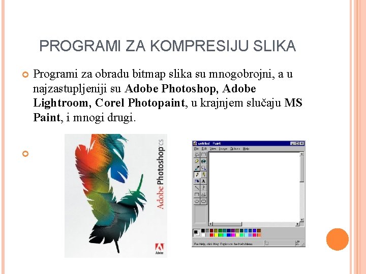 PROGRAMI ZA KOMPRESIJU SLIKA Programi za obradu bitmap slika su mnogobrojni, a u najzastupljeniji