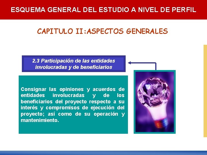 ESQUEMA GENERAL DEL ESTUDIO A NIVEL DE PERFIL CAPITULO II: ASPECTOS GENERALES 2. 3