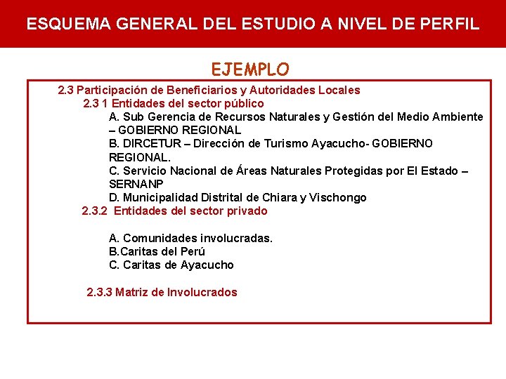 ESQUEMA GENERAL DEL ESTUDIO A NIVEL DE PERFIL EJEMPLO 2. 3 Participación de Beneficiarios