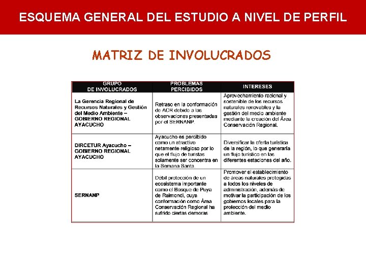 ESQUEMA GENERAL DEL ESTUDIO A NIVEL DE PERFIL MATRIZ DE INVOLUCRADOS 