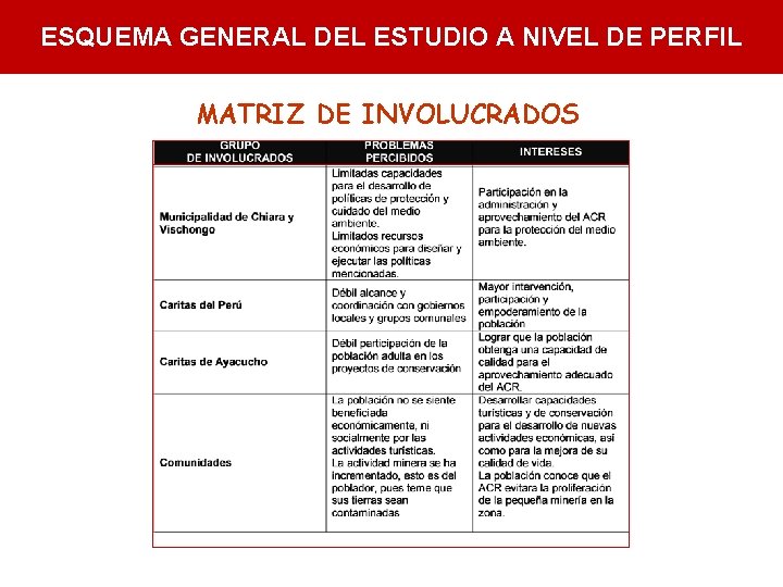 ESQUEMA GENERAL DEL ESTUDIO A NIVEL DE PERFIL MATRIZ DE INVOLUCRADOS 