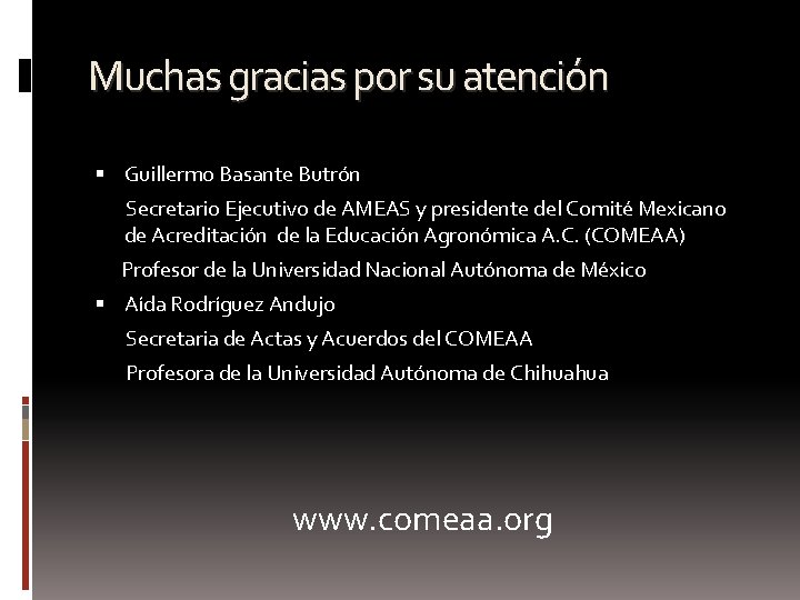 Muchas gracias por su atención Guillermo Basante Butrón Secretario Ejecutivo de AMEAS y presidente