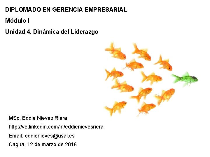 DIPLOMADO EN GERENCIA EMPRESARIAL Módulo I Unidad 4. Dinámica del Liderazgo MSc. Eddie Nieves