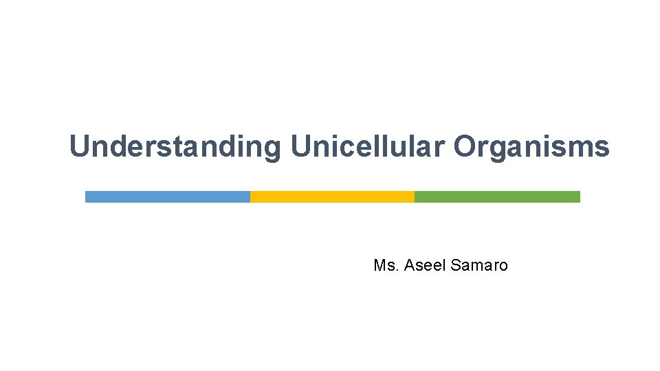 Understanding Unicellular Organisms Ms. Aseel Samaro 