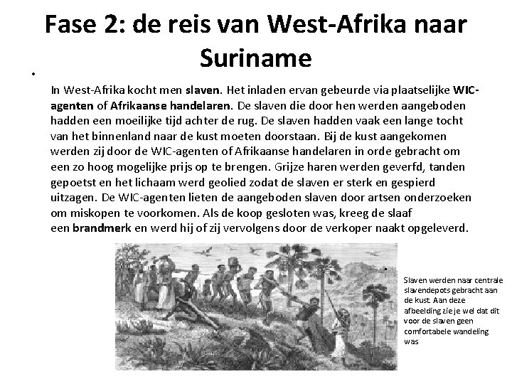  • Fase 2: de reis van West-Afrika naar Suriname In West-Afrika kocht men