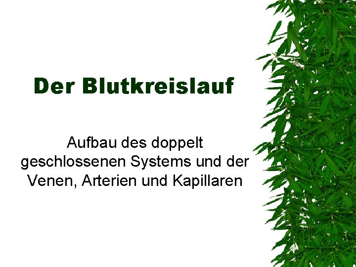 Der Blutkreislauf Aufbau des doppelt geschlossenen Systems und der Venen, Arterien und Kapillaren 