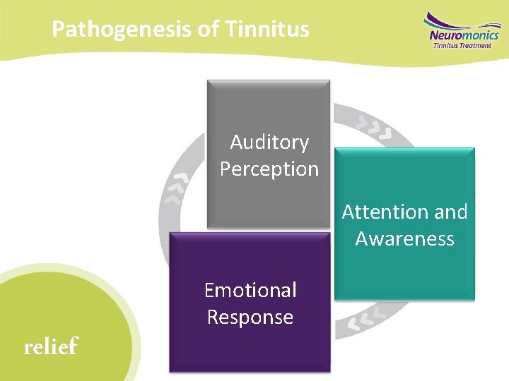 Pathogenesis of Tinnitus Auditory Perception Attention and Awareness Emotional Response relief 