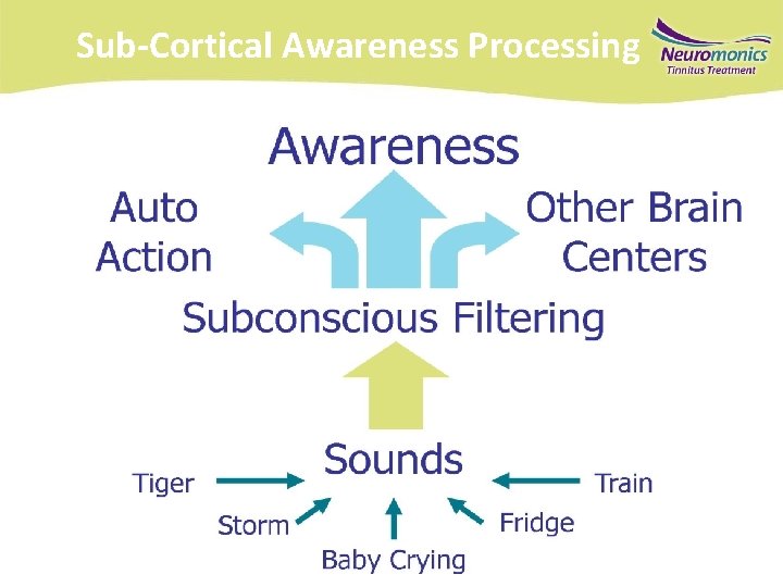 Sub-Cortical Awareness Processing relief 